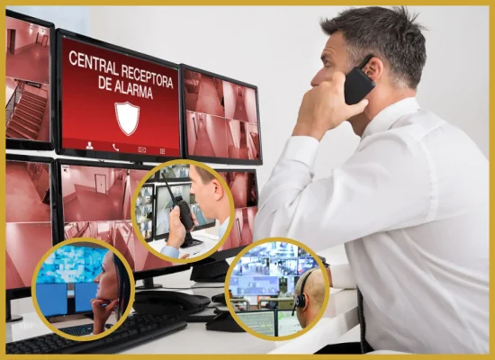 seguridad centro_Mesa de trabajo 1